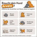 Beruhigendes Diffusor-Set für Hunde