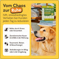 Beruhigendes Diffusor-Set für Hunde
