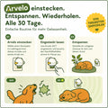 Beruhigendes Diffusor-Set für Hunde